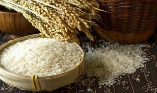 粮食保质期 大米有保质期吗